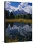 Shallow Pond Near Teton Range-James Randklev-Stretched Canvas