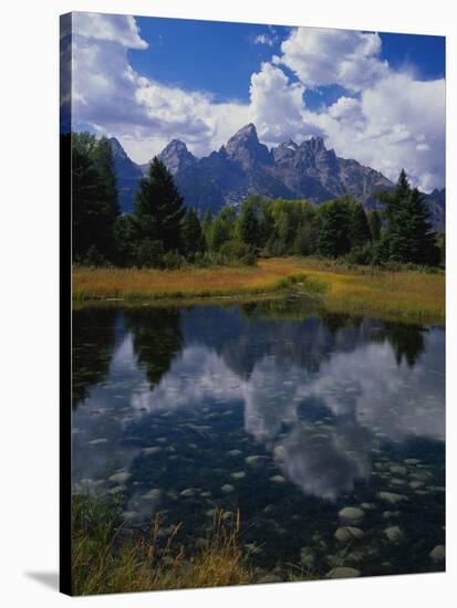 Shallow Pond Near Teton Range-James Randklev-Stretched Canvas