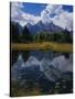 Shallow Pond Near Teton Range-James Randklev-Stretched Canvas