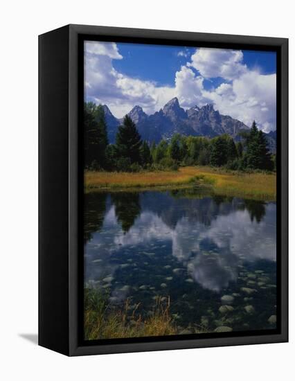 Shallow Pond Near Teton Range-James Randklev-Framed Stretched Canvas