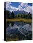 Shallow Pond Near Teton Range-James Randklev-Stretched Canvas