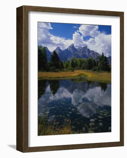 Shallow Pond Near Teton Range-James Randklev-Framed Photographic Print