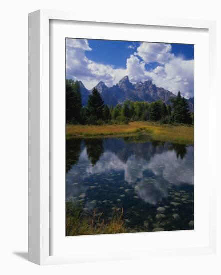 Shallow Pond Near Teton Range-James Randklev-Framed Photographic Print