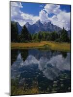 Shallow Pond Near Teton Range-James Randklev-Mounted Photographic Print