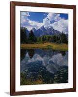 Shallow Pond Near Teton Range-James Randklev-Framed Photographic Print