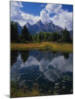 Shallow Pond Near Teton Range-James Randklev-Mounted Photographic Print