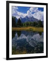 Shallow Pond Near Teton Range-James Randklev-Framed Photographic Print