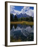 Shallow Pond Near Teton Range-James Randklev-Framed Photographic Print