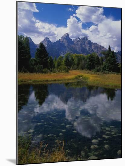 Shallow Pond Near Teton Range-James Randklev-Mounted Photographic Print