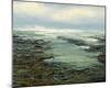 Shallow Reef-Michael Mote-Mounted Art Print