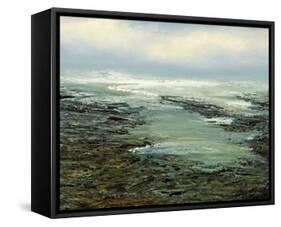 Shallow Reef-Michael Mote-Framed Stretched Canvas