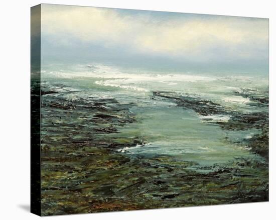 Shallow Reef-Michael Mote-Stretched Canvas