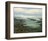 Shallow Reef-Michael Mote-Framed Art Print