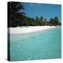 Shallow Water Near a Tropical Beach-null-Stretched Canvas