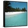 Shallow Water Near a Tropical Beach-null-Framed Stretched Canvas