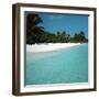 Shallow Water Near a Tropical Beach-null-Framed Photographic Print