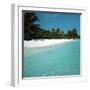 Shallow Water Near a Tropical Beach-null-Framed Photographic Print