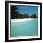 Shallow Water Near a Tropical Beach-null-Framed Photographic Print