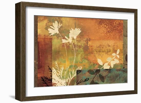 Shambala I-Chris Donovan-Framed Art Print