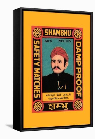 Shambhu-null-Framed Stretched Canvas