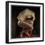 Shame, 2012-Johan Lilja-Framed Giclee Print