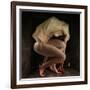 Shame, 2012-Johan Lilja-Framed Giclee Print