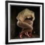 Shame, 2012-Johan Lilja-Framed Giclee Print