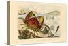 Shamefaced Crab, 1833-39-null-Stretched Canvas