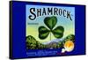 Shamrock Brand Valencias-null-Framed Stretched Canvas