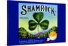 Shamrock Brand Valencias-null-Stretched Canvas