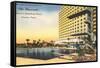 Shamrock Hotel, Houston, Texas-null-Framed Stretched Canvas