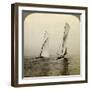 Shamrock I and Shamrock III in a Trial Race Off Sandy Hook, USA-Underwood & Underwood-Framed Photographic Print