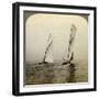 Shamrock I and Shamrock III in a Trial Race Off Sandy Hook, USA-Underwood & Underwood-Framed Photographic Print