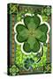 Shamrocks-David Galchutt-Stretched Canvas