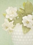 Soft Roses I-Shana Rae-Giclee Print