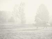 Niebla Blanco-Shana Rae-Giclee Print