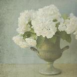 Soft Roses I-Shana Rae-Giclee Print