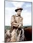 Shane, Alan Ladd, 1953-null-Mounted Photo