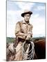 Shane, Alan Ladd, 1953-null-Mounted Photo