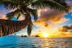 Beautiful Lanikai, Kailua Sunrise in Hawaii-Shane Myers Photography-Laminated Photographic Print