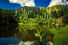 Ho'omaluhia Botanical Garden in Kaneohe, Oahu, Hawaii-Shane Myers Photography-Photographic Print