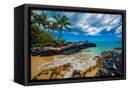 Canvas Black