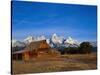 Shanes Barn, Grand Teton National Park, WY-Elizabeth DeLaney-Stretched Canvas