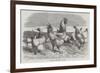 Shanghae Fowls Presented to Her Majesty-Harrison William Weir-Framed Giclee Print