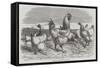 Shanghae Fowls Presented to Her Majesty-Harrison William Weir-Framed Stretched Canvas