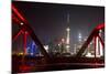 Shanghai, China, Evening Cityscape and Evening Lights-Darrell Gulin-Mounted Photographic Print