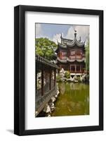 Shanghai, China Yu Garden and Oriental Styled Buildings-Darrell Gulin-Framed Photographic Print