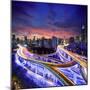 Shanghai City at Sunset with Light Trails-dellm60-Mounted Photographic Print