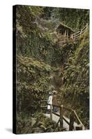 Shanklin Chine-null-Stretched Canvas