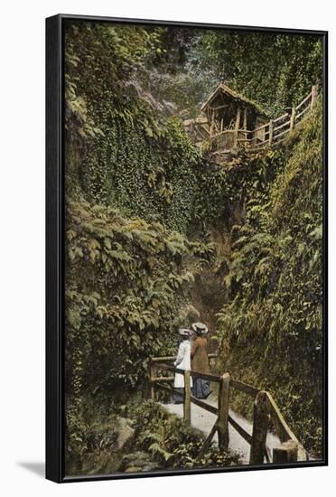 Shanklin Chine-null-Framed Photographic Print